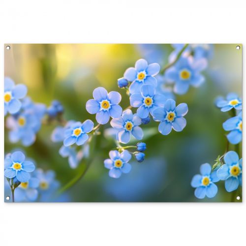 Bloemetjes - Blauw - Vergeet mij nietjes
