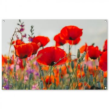 Tuinposter - Bloeipracht van Klaprozen