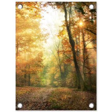 Tuinposter - Herfstbos in gouden zonlicht