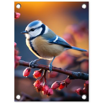 Tuinposter - Pimpelmees bij Bloesems