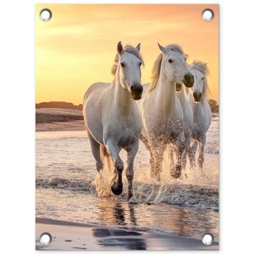 Witte paarden galopperen langs de kust