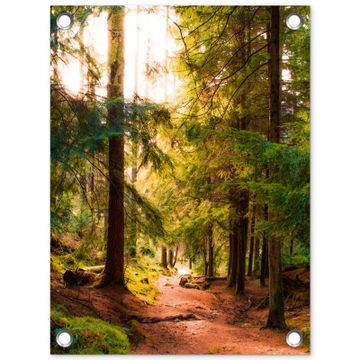 Tuinposter - Mossig bospad