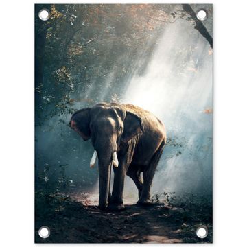 Olifant in mystiek bos