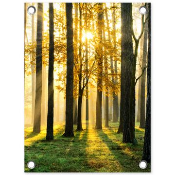 Tuinposter - Gouden bos bij zonsopgang