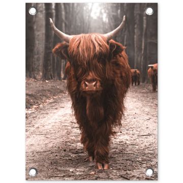 Tuinposter - Hooglander in het Bos