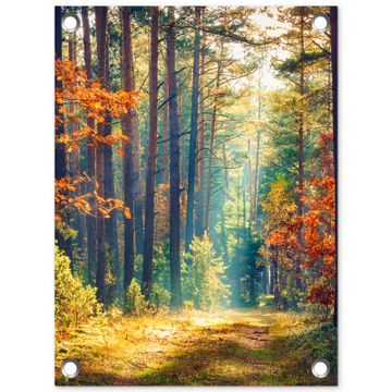 Tuinposter - Herfstbos in de Ochtendmist