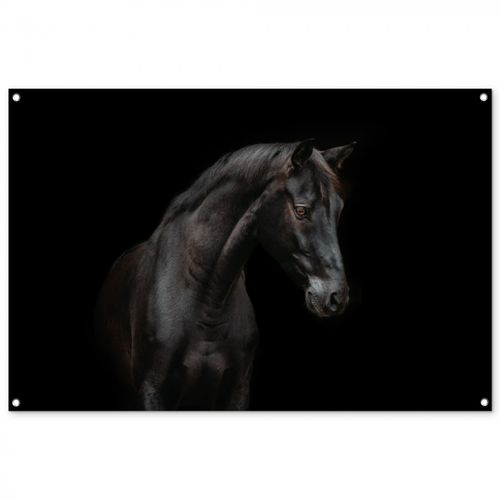 Tuinposter - Elegant zwart paard in het donker
