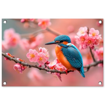 IJsvogel tussen Kersenbloesems