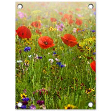 Tuinposter - Weide van wilde bloemen en klaprozen