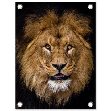 Tuinposter - Indrukwekkend portret van een leeuw