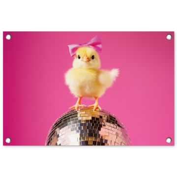 Tuinposter - Discobal - Kuiken - Strik
