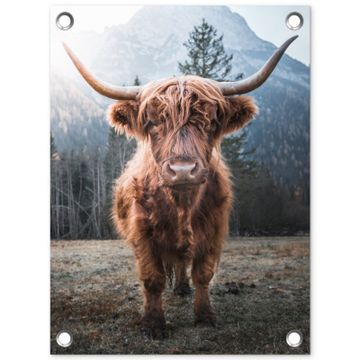 Hooglander van Dichtbij