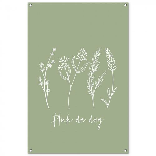 Pluk de Dag
