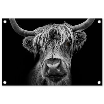 Hooglander in Zwart-Wit