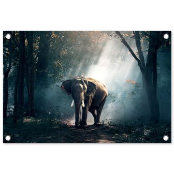 Olifant in mystiek bos