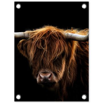 Hooglander tegen Zwarte Achtergrond