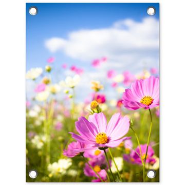Tuinposter - Veld vol kleurrijke bloemen