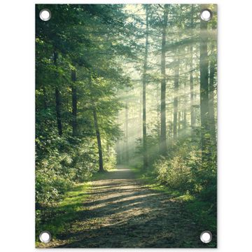Tuinposter - Bosweg in ochtendlicht