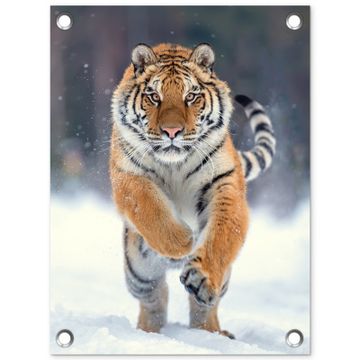 Tijger rennend door de sneeuw