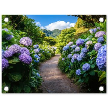 Tuinposter - Hortsensia - Pad - Bloemen