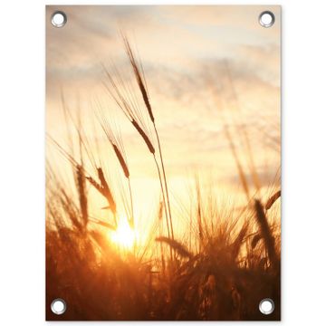 Tuinposter - Gouden Graanveld bij Zonsopgang