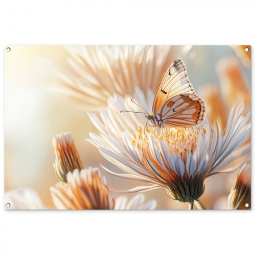 Vlinder - Bloem - Oranje