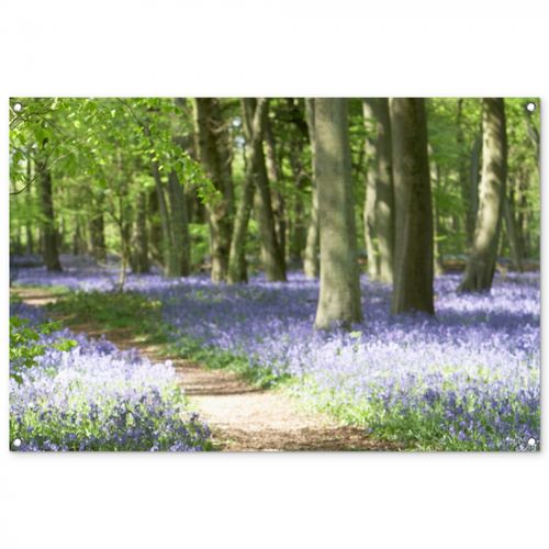 Tuinposter - Lente bos met blauwe bloemen