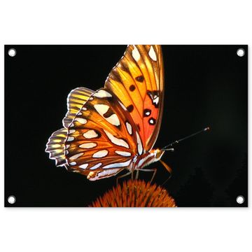 Vlinder op bloem