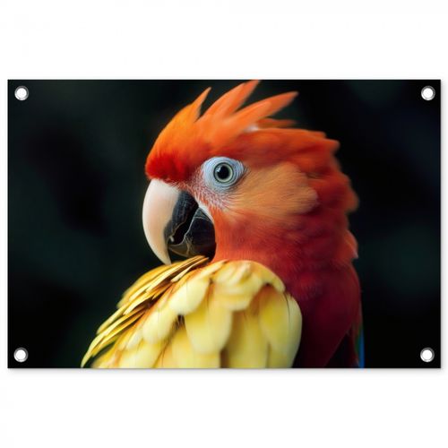 Tuinposter - Close-up - Papegaai - Veren - Oranje