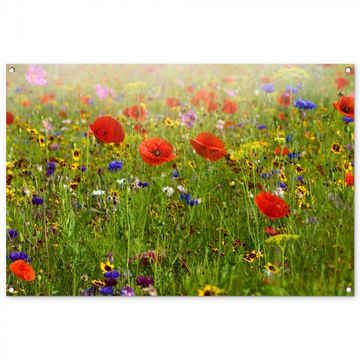 Tuinposter - Weide van wilde bloemen en klaprozen