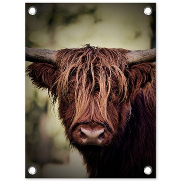 Tuinposter - Majestueuze Hooglander in het Donker