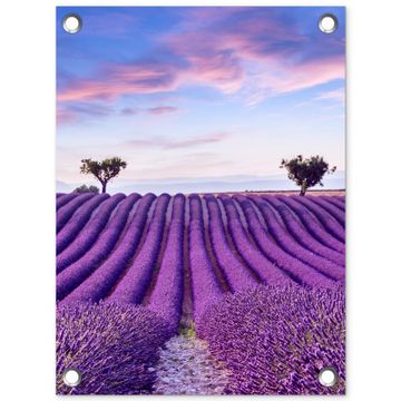 Tuinposter - Perfecte lavendelrijen bij zonsopgang