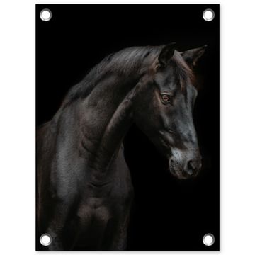 Tuinposter - Elegant zwart paard in het donker