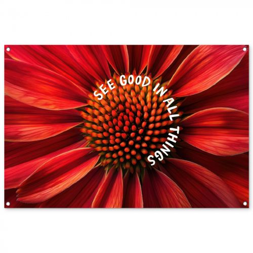 Close up - Bloem - Quote - Rood