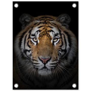 Tijger in de schaduw