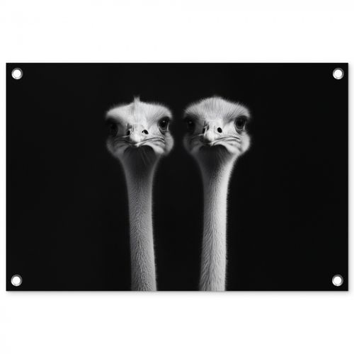 Tuinposter - Struisvogels - Halzen - Zwart - Minimalistisch