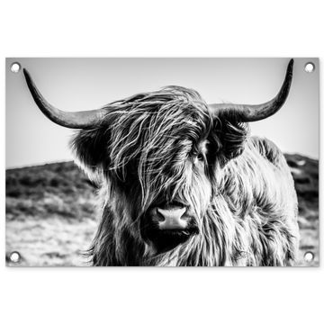 Stoere Hooglander