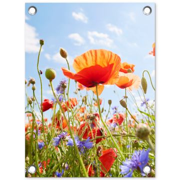 Klaprozen en korenbloemen in zomers licht