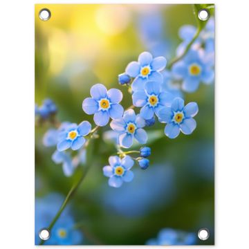 Bloemetjes - Blauw - Vergeet mij nietjes