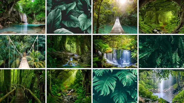 Tuinposter collecties Jungle