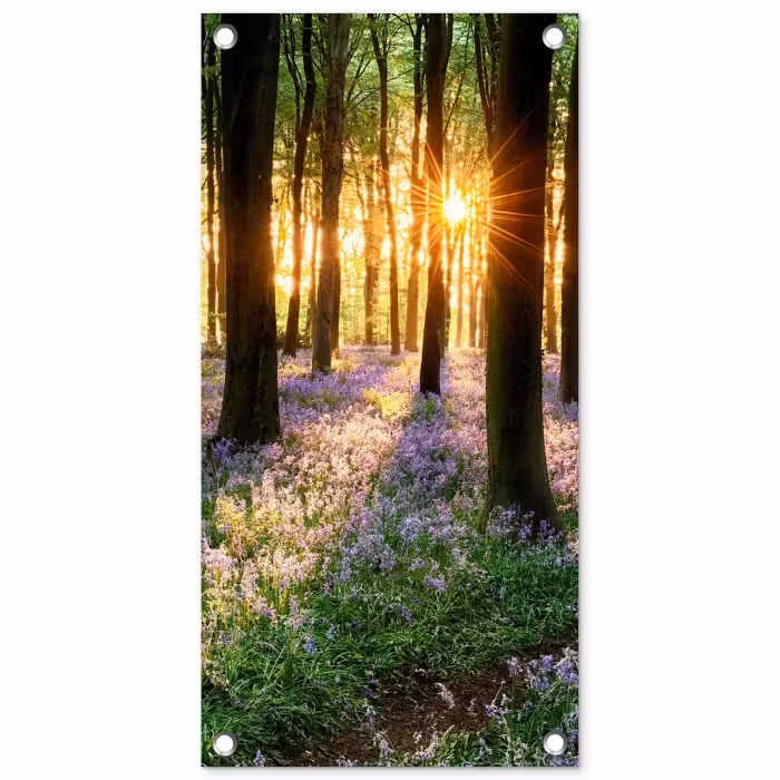 Tuinposter - Bloemenzee in het ochtendlicht