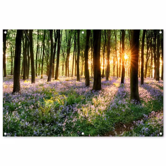 Tuinposter - Bos - Bloemen - Lavendel - Zon - Paars - Natuur