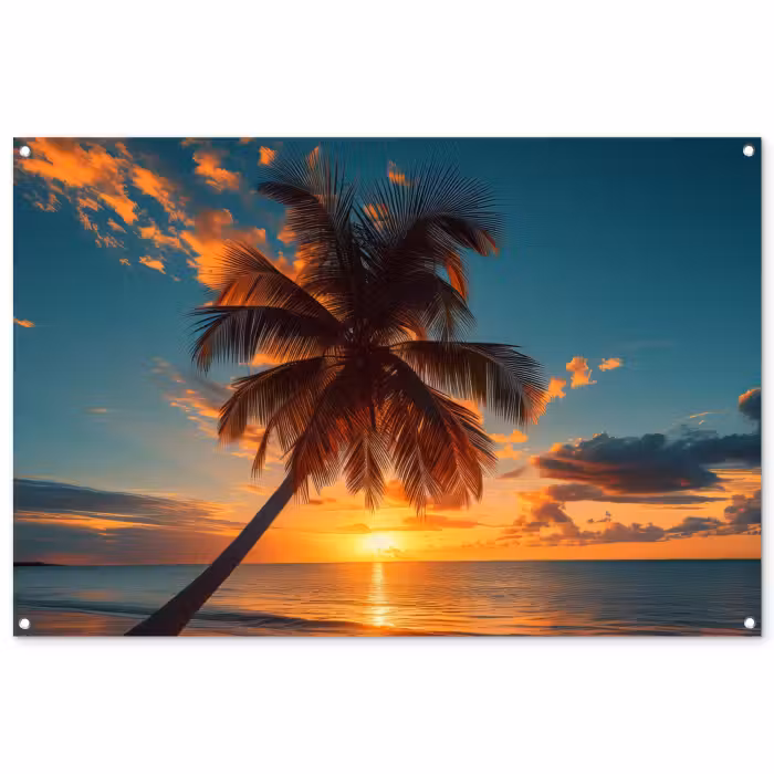 Tuinposter - Tropische Droomzonsondergang