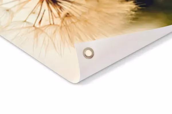 Tuinposter met ringen closeup