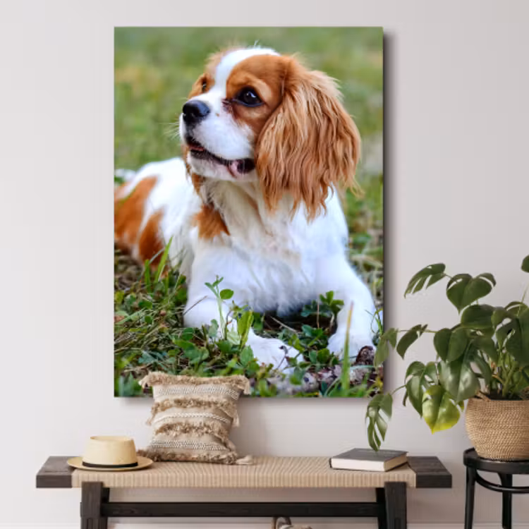 Foto op canvas — 2