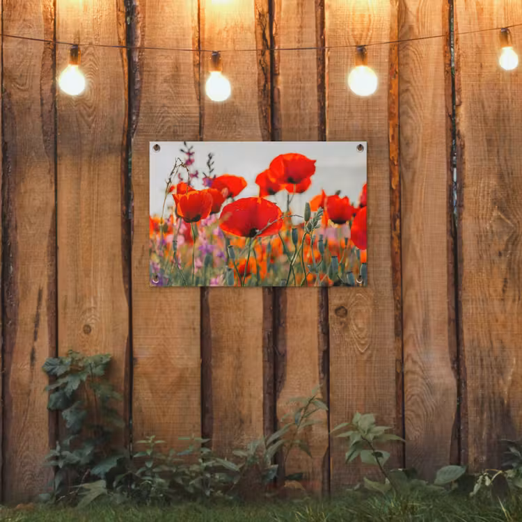 Tuinposter - Bloeipracht van Klaprozen — 3
