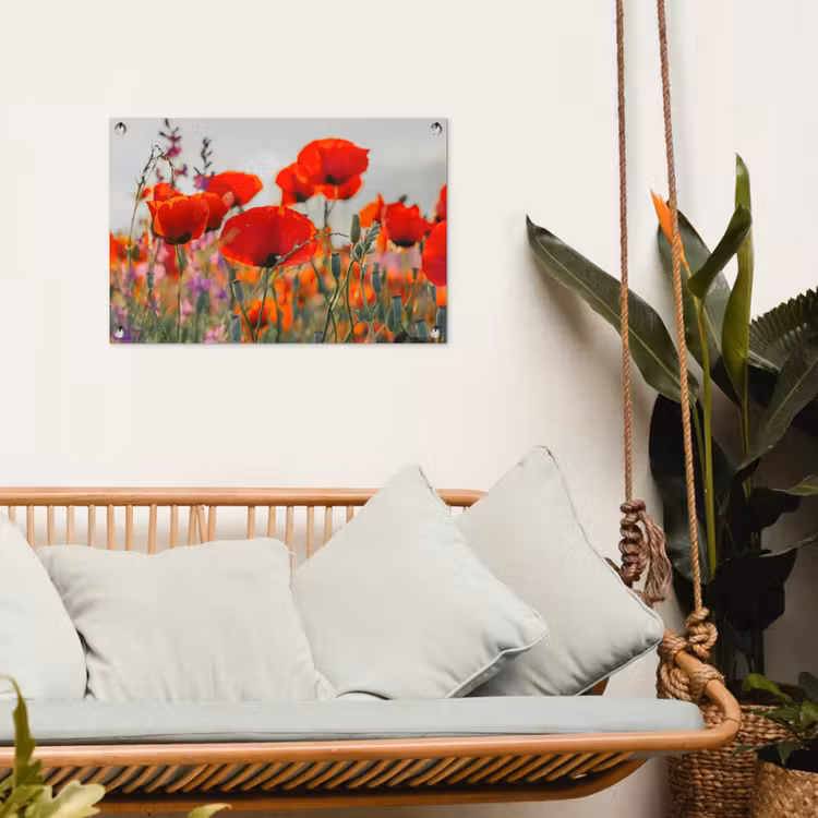 Tuinposter - Bloeipracht van Klaprozen — 4