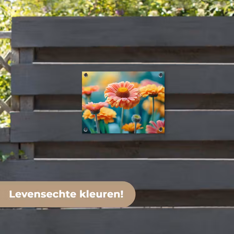 Tuinposter - Bloemen in zomerse pracht — 6
