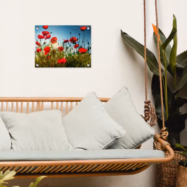 Tuinposter - Klaprozen in ochtendlicht — 4
