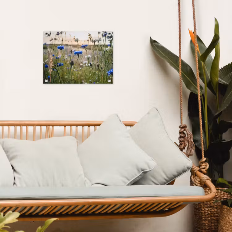 Tuinposter - Korenbloemen in het avondlicht — 4